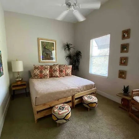 Nawlins Vibe With Rooftop Verandah Near Riverwalk And Downtown Tampa Exterior photo